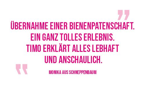 Text über die Übernahme einer Bienenpatenschaft und das Erlebnis mit Timo.