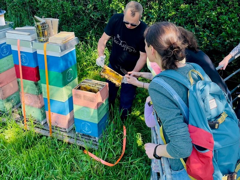 Bienenpatenschaft Bio-Imkerei Bienenkönig Niederrhein Imker zeigt Anwesenden, wie man Honig aus Bienenstöcken erntet.